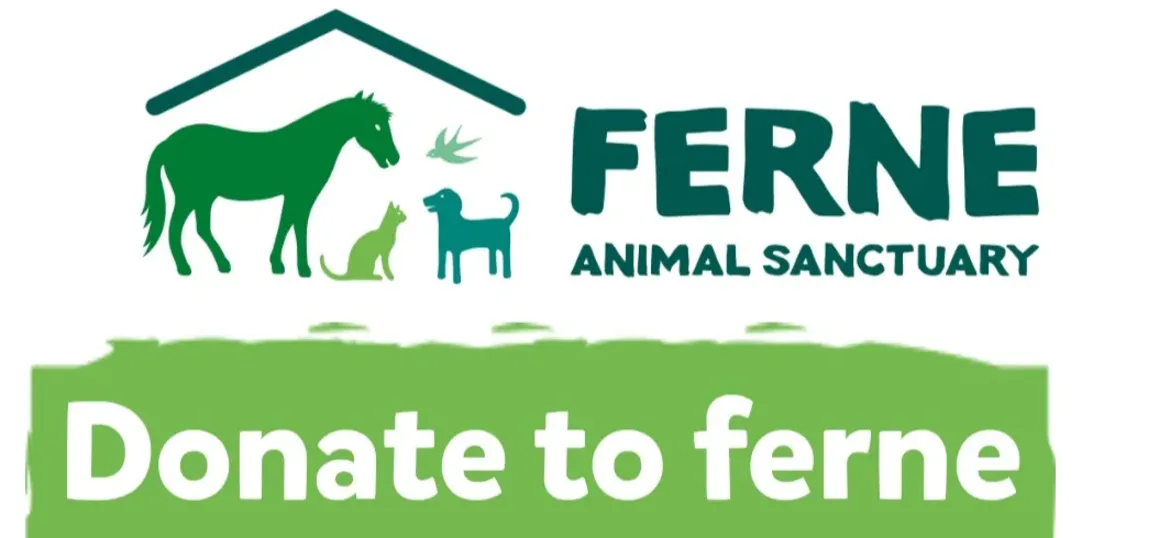 The Ferne Animal Sanctuary